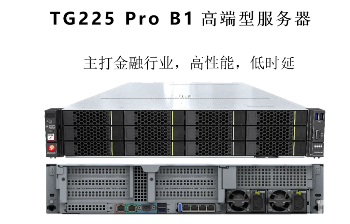 TG225 Pro	B1 高端型服務器